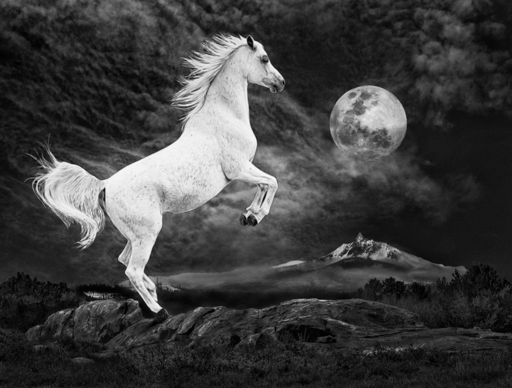 Dancing With The Moon - Judy Lanier